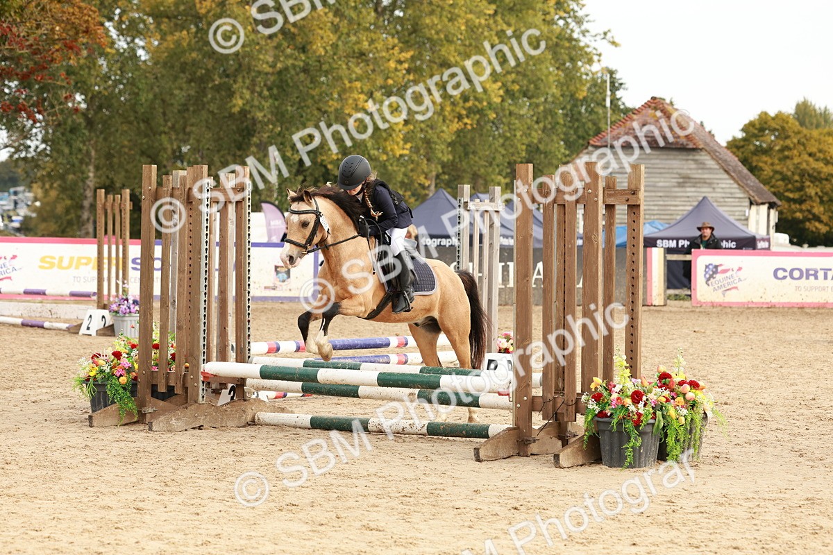 SBM_57677 - J11 - Junior Pony 50cm Championship