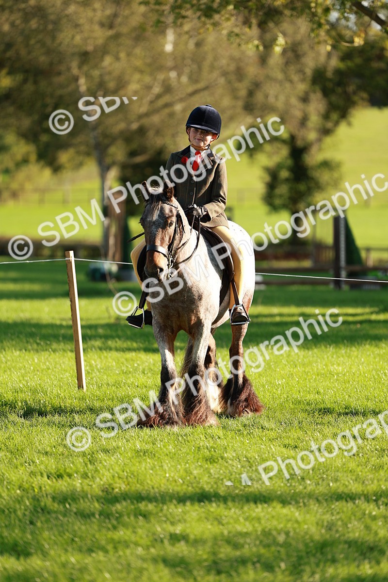 SBM_28759 - S7 - Novice & Newcomer Ridden Pony