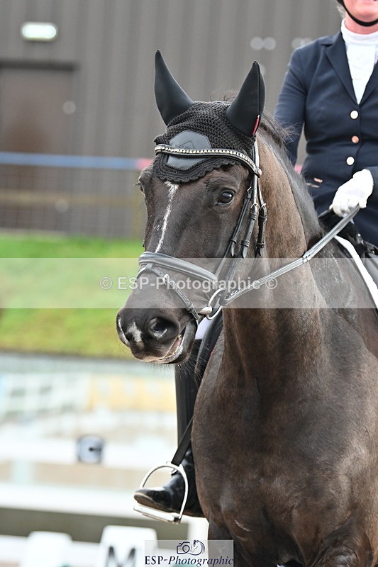 240218A-094007-04817 - 102-Caroline.Squire-Viva.Venezuela