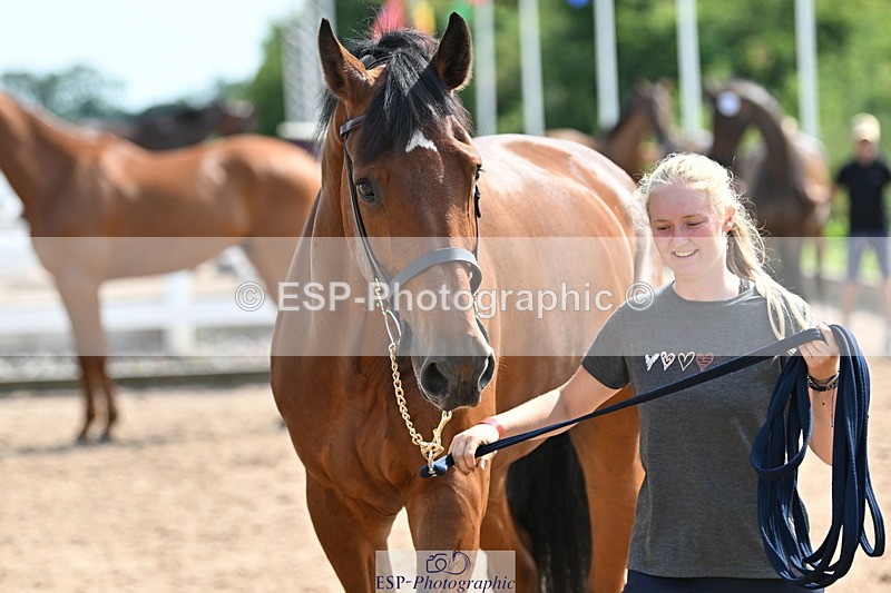 240717A-155245-03132 - Trot Up 3pm to 4pm
