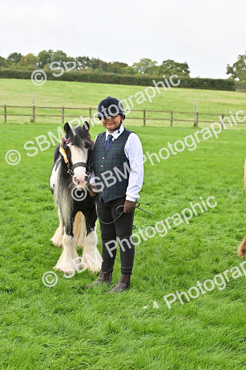 SBM_56995 - S45 - Coloured Pony In Hand