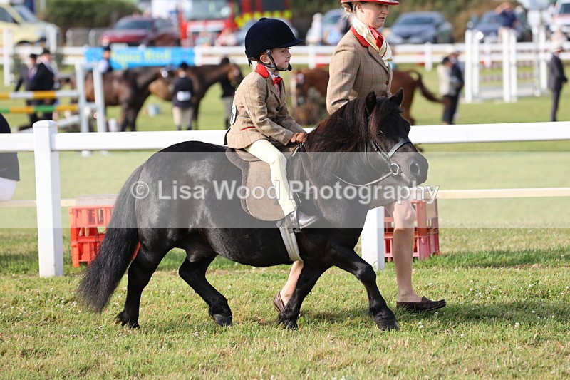 JPP_0297 - Class 14: Cornish Combination Leading Rein