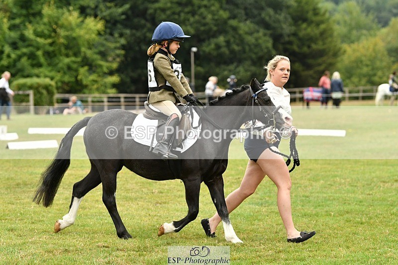 250820A-113215-05124 - 11am to 12