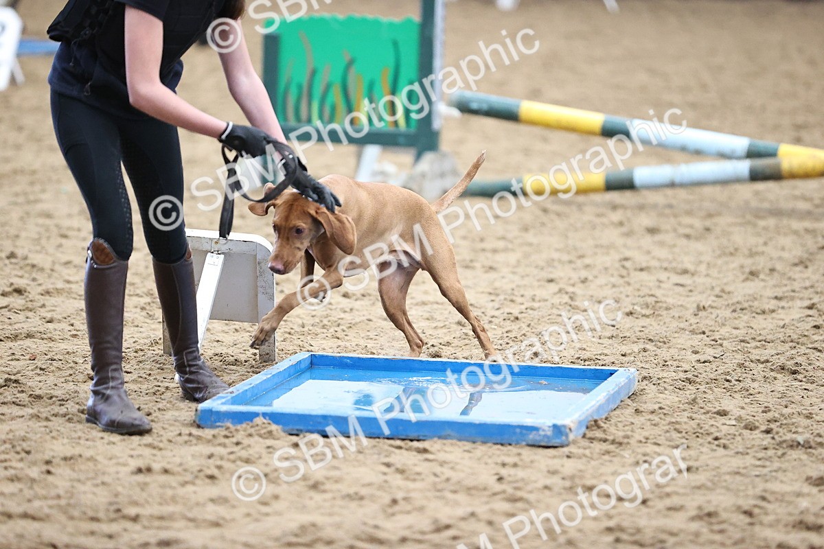SBM_001291 - Class 3 - Horse & Hound 60cm
