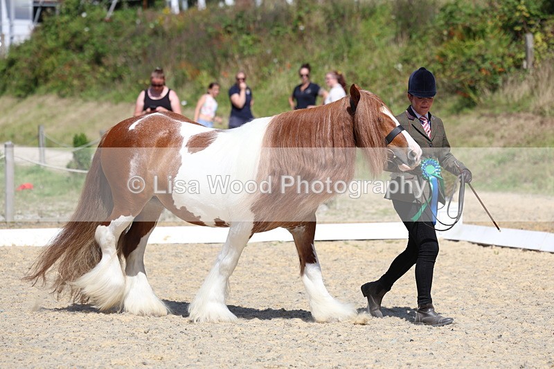 3E7A9808 - In Hand Championship