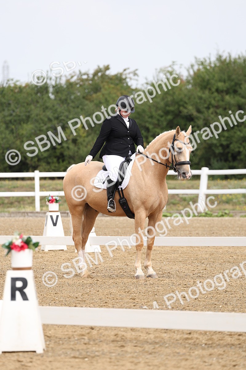 SBM_005814 - Class 6 - Novice 6 - 10.26-11.29