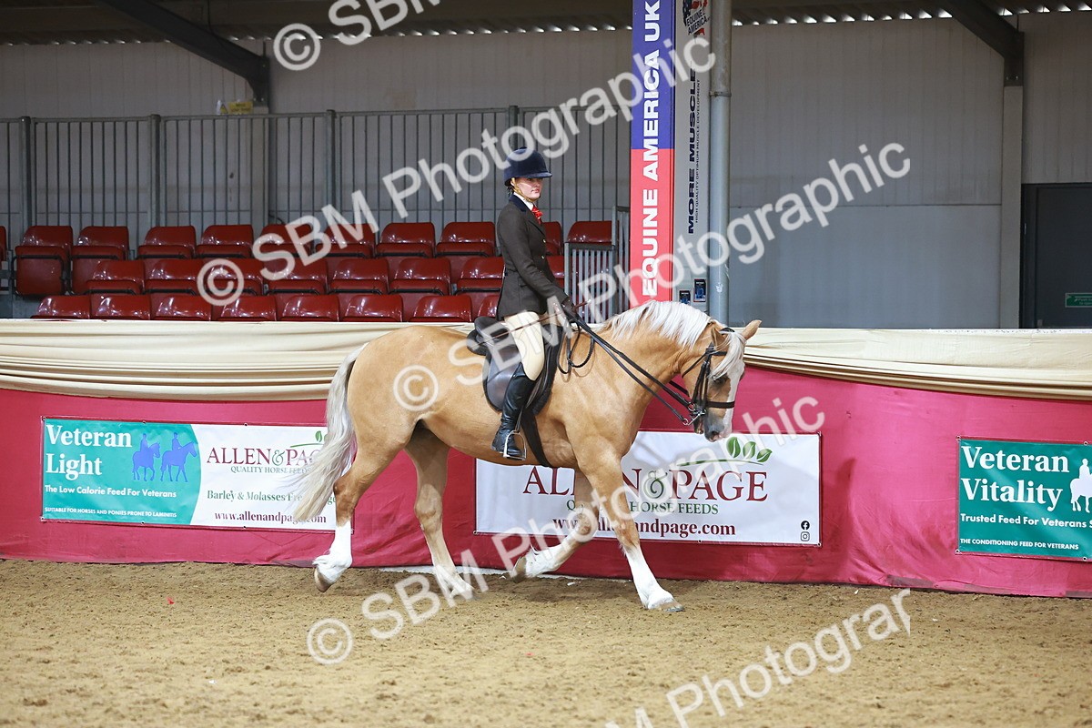 SBM_09372 - Class 102 - HOYS Veteran Qualifier - Ridden Veteran
