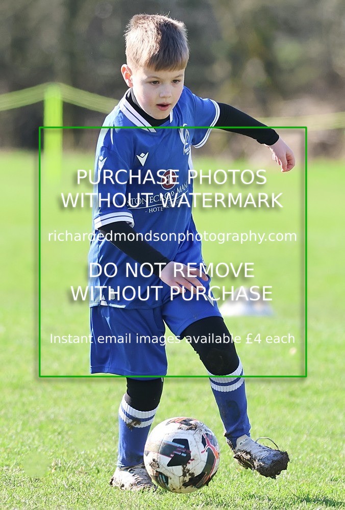 533A7931 - Ibis Under 8's (14/3/26)