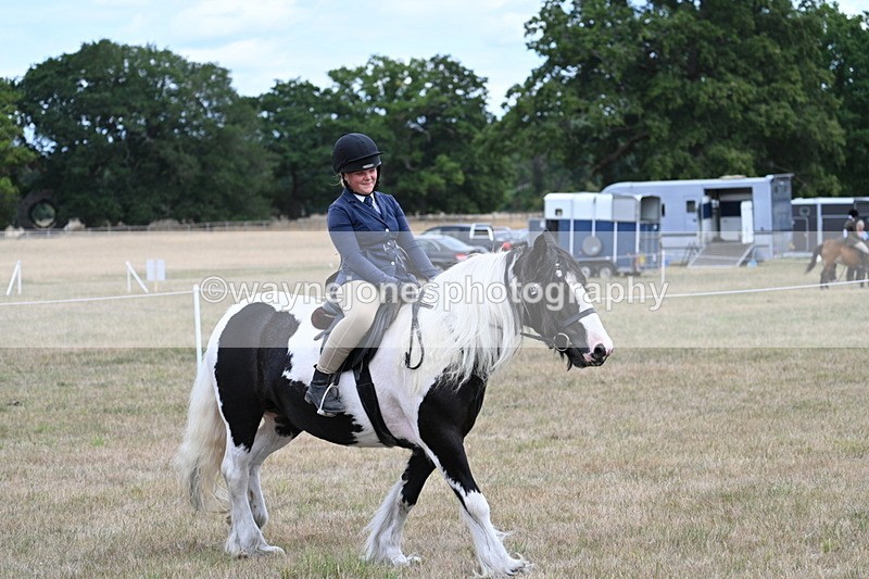 WJ7_5454 - Class 12 Ridden Cob