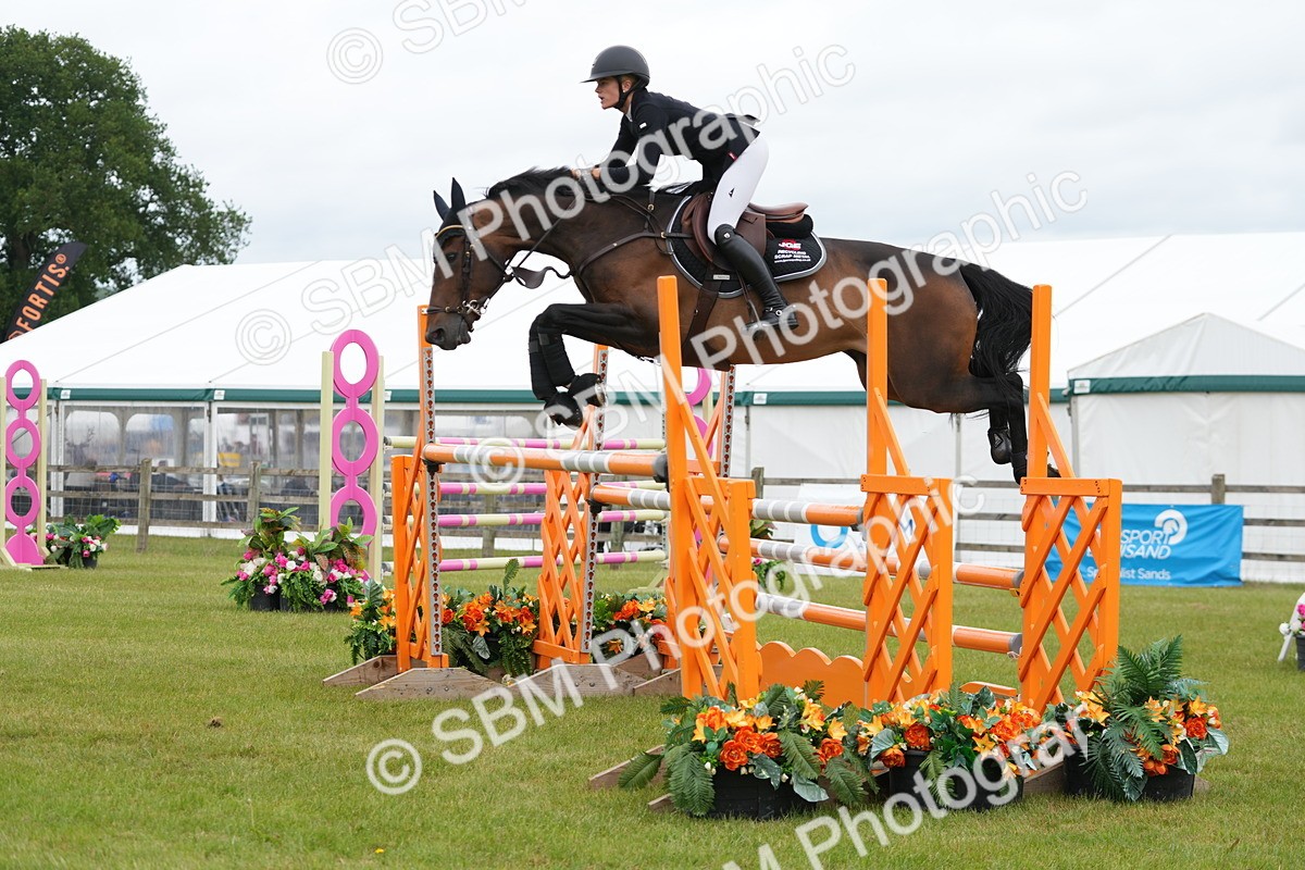 SBM_03095 - Class 201 - British Horse Feeds Speedi Beet Horse of the Year Show Grade  C