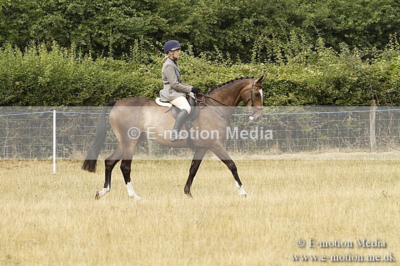 _BS_0627 - BVRC Show 2018 Ring 3