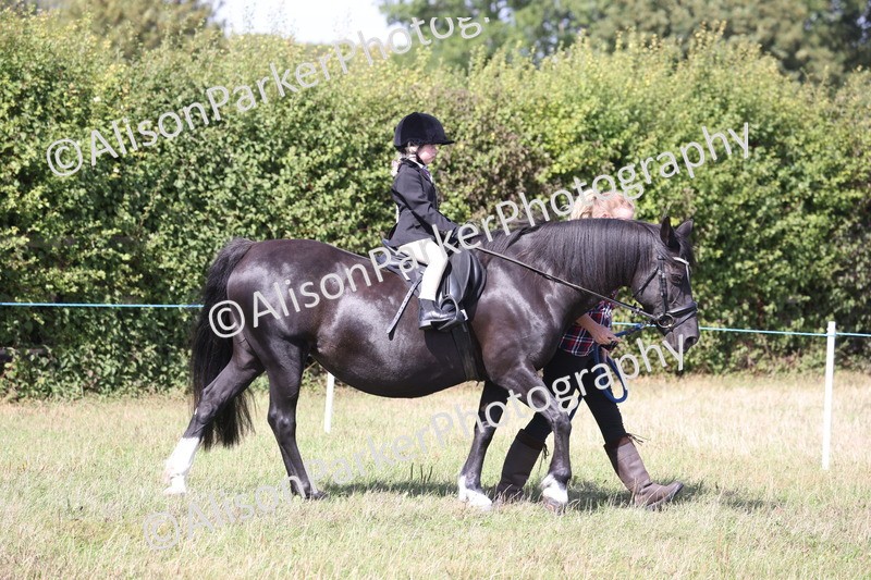 20260906-2741 - Class 25 - Absolute Beginners Pony