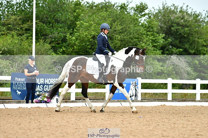 230702A-122716-09622 - Cls 28 Elementary 45