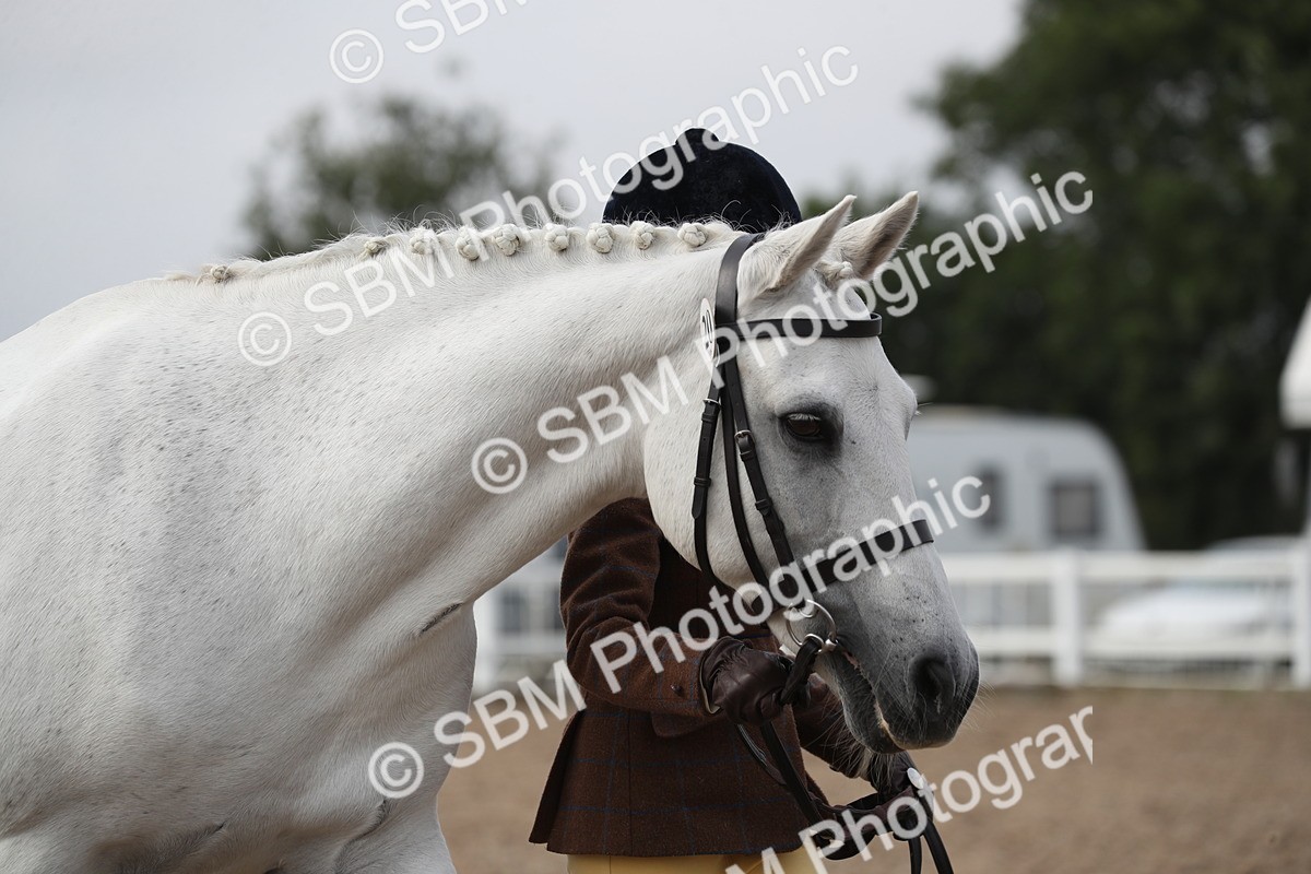 SBM_23056 - Class 605 - 2025 Area - IH Veteran