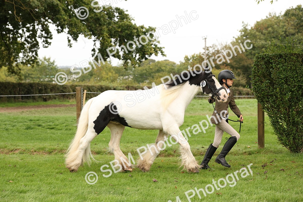 SBM_59268 - S57 - Traditional Cob In Hand
