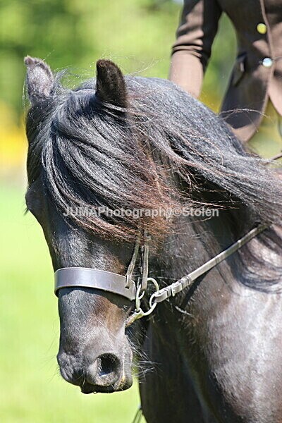 SIAL4320 - Ring 3 and 4