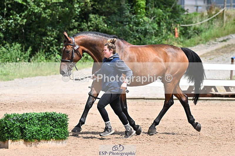 240718A-105306-01562 - Trot Up 1pm to 2pm