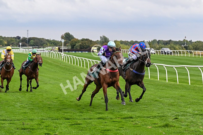 011025-Race 5-Blue Jay Way-0485 - Race 5