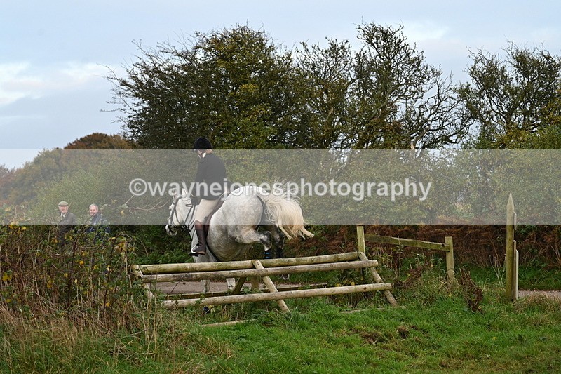 WJ7_0419 - Camera 1 & Last fence