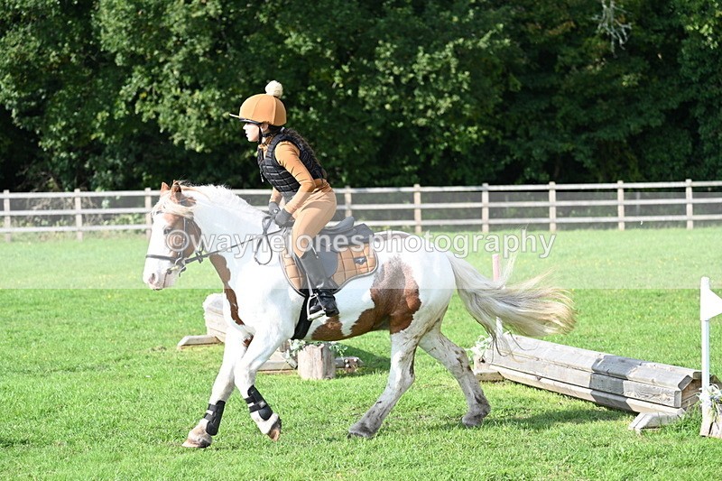 WJ7_3946 - 40cm Time 10:26 to 10:42