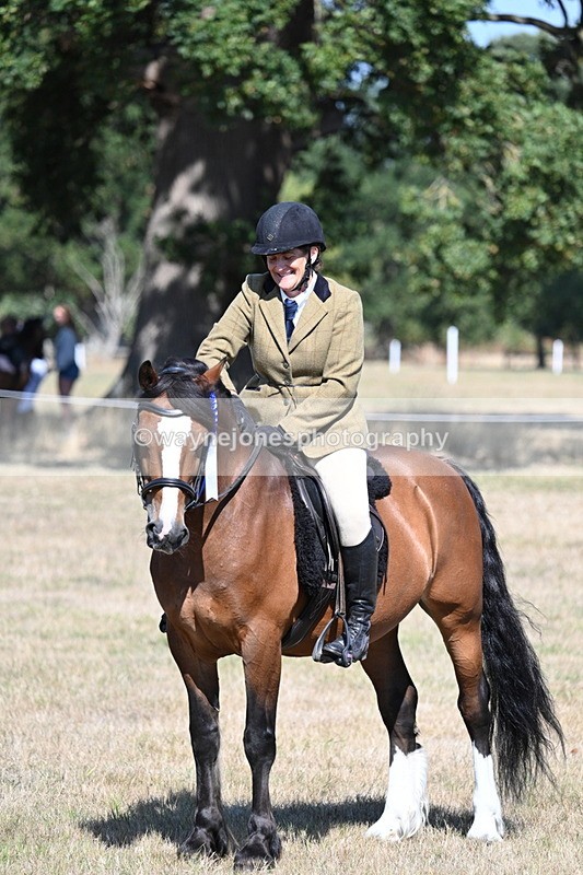 WJ7_4141 - Class 9 Mountain & Moorland Ridden