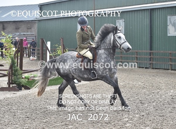 JAC_2072 - CLASS 1 Nursery Novice Working Hunter