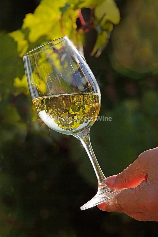  - Wine / Wein
