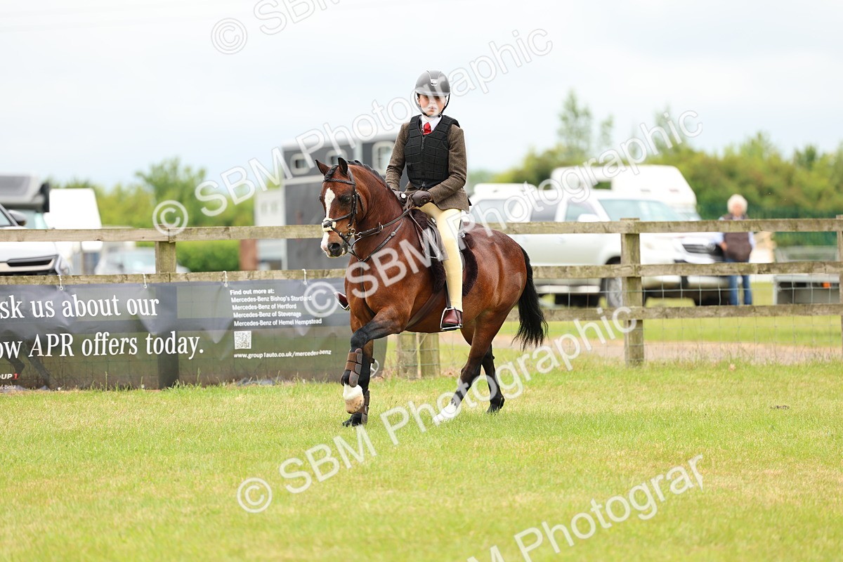 SBM_10305 - Class 44-45 - LIHS BSPS Open Nursery and Cradle Stakes