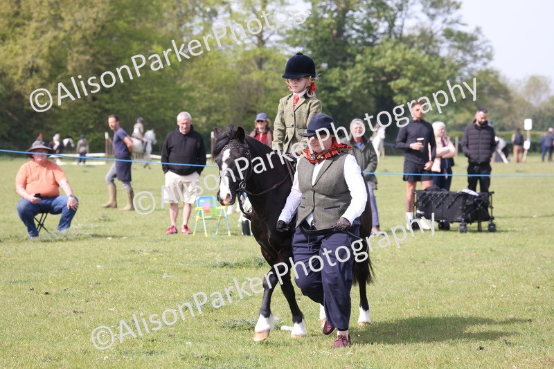 20260426-2496 - Class 31 - Leading Rein