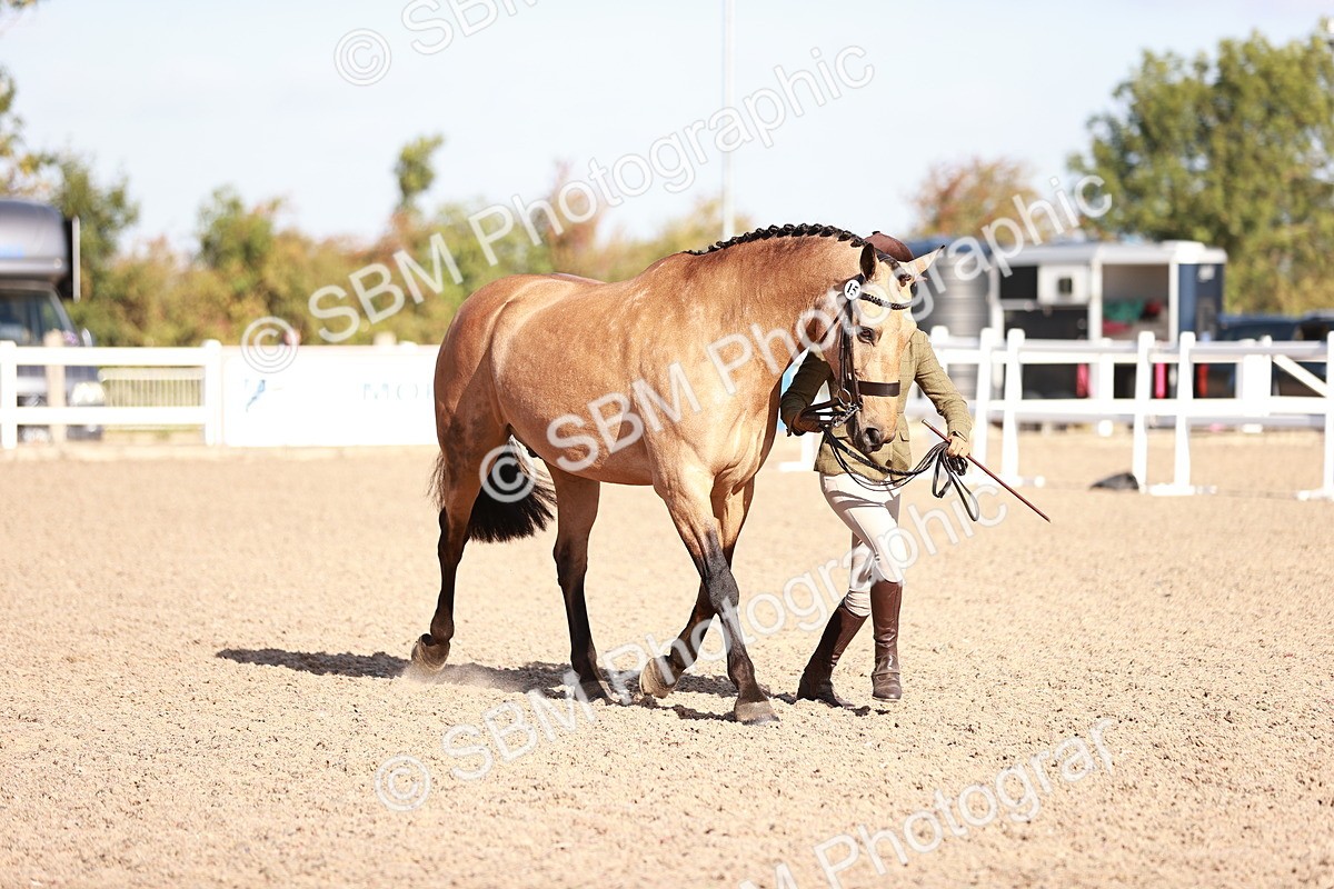 SBM_22069 - Class 703 - IH Coloured