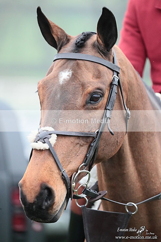 PtP 080326 419 - Pytchley with Woodland Point-to-Point Guilsborough 08/03/26