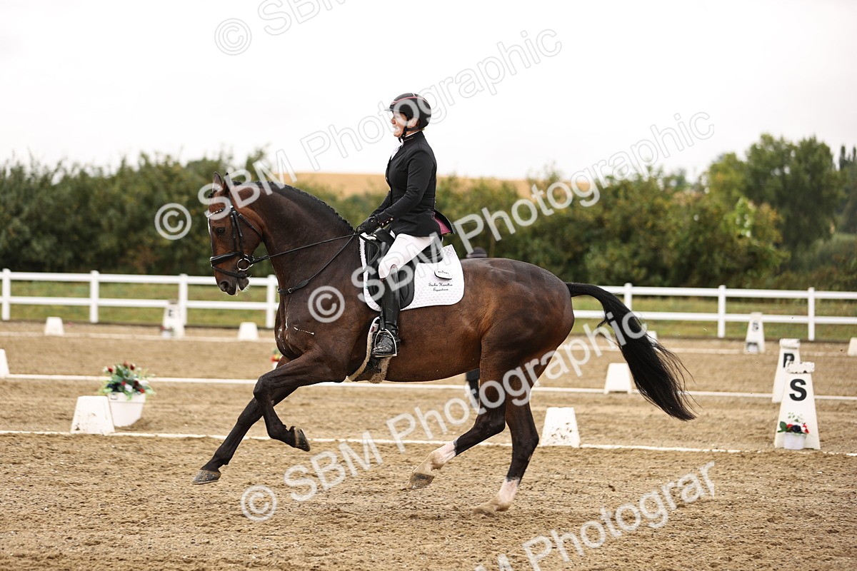 SBM_006905 - Class 11 - Advanced Medium 6 - 11.34-12.38