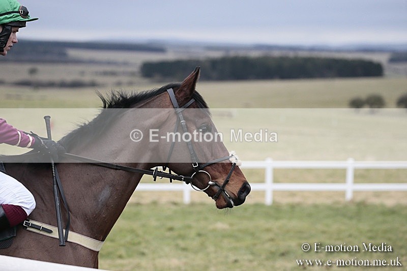 PtP 180218 364 - Combined Services Point-to-Point Larkhill 18/02/18