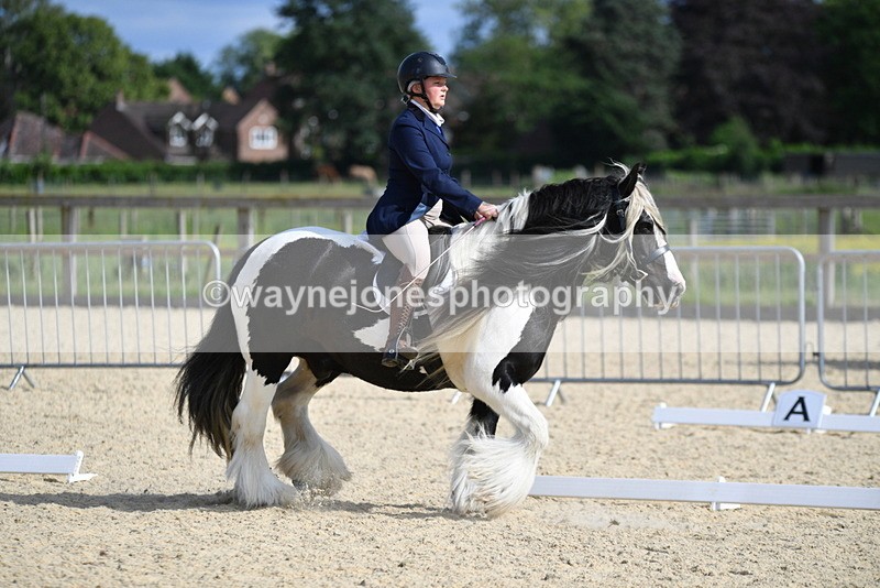 WJ5_7730 - Time 16:40 to 16:55