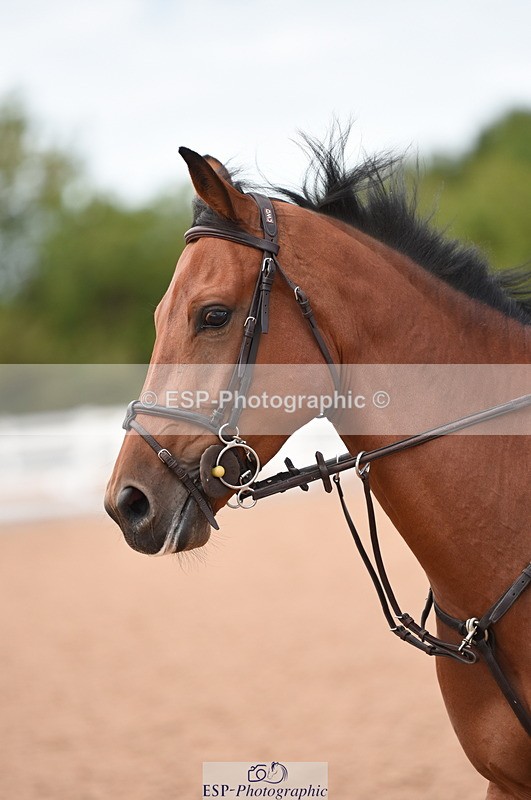 230830A-150608-01374 - Cls 5 Fox & Open