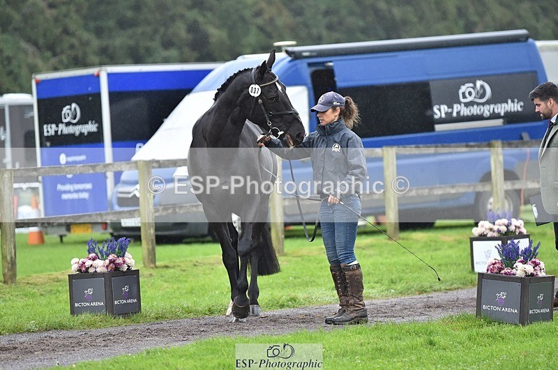 231018-122736-00302 - 037-MISTER.KAI-Hani.Milstein-TrotUp