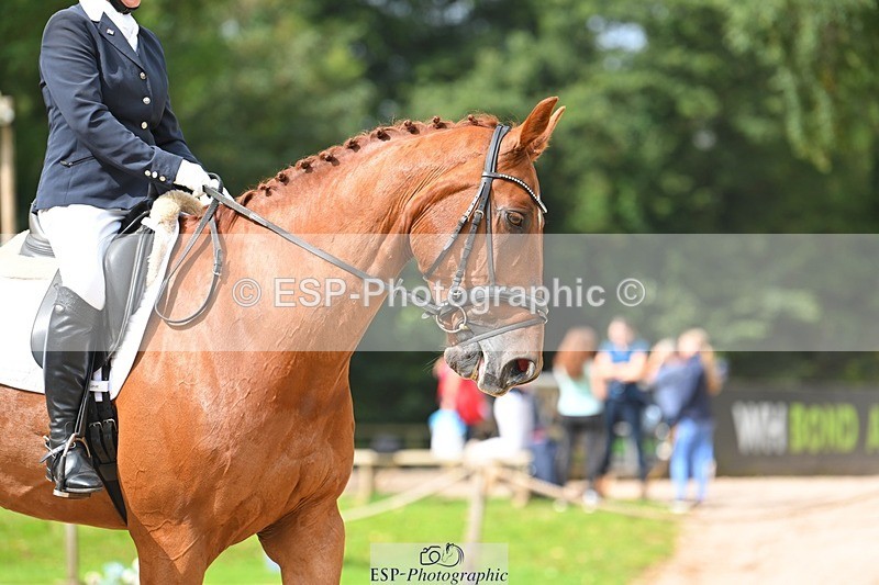 230813-110735-06510 - Cls 12 Elem Silver 10.35 to End