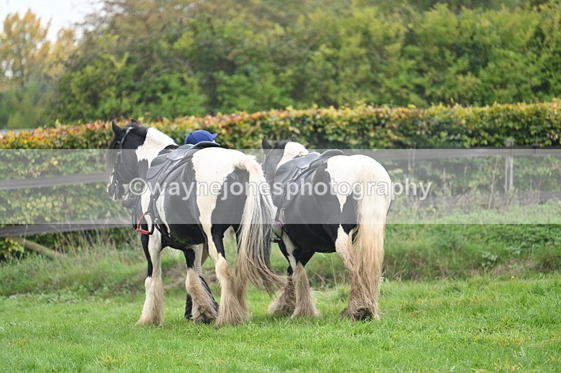 WJ7_2949 - Afew at the end ...