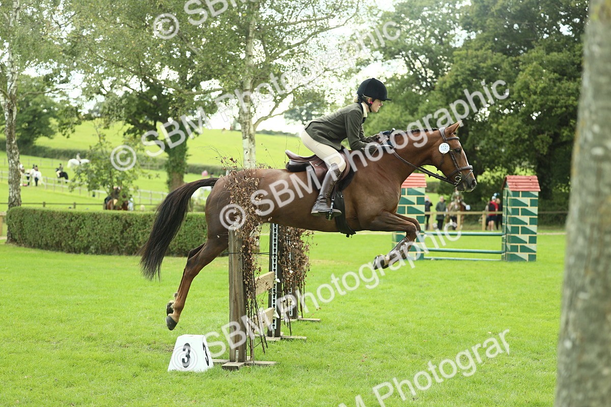 SBM_47959 - S32 - Novice & Newcomers Working Hunter
