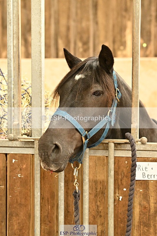 250821B-125332-00455 - Stable Shots and Group Photo