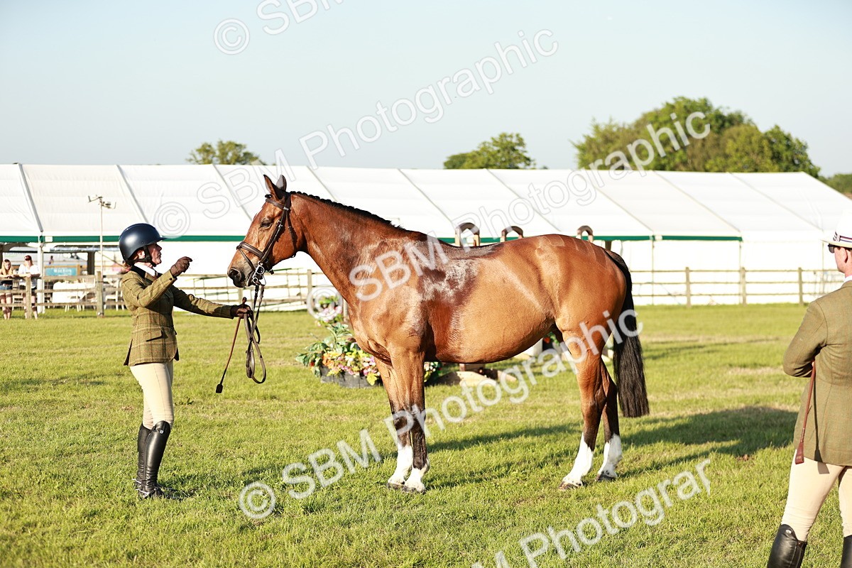 SBM_20537 - Class 117-119 - Sport Horse Working Hunter