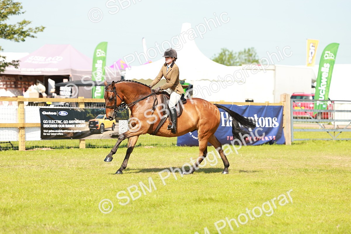 SBM_12050 - Class 66-69 - RIHS Ridden Hunters Inc Small Hunter