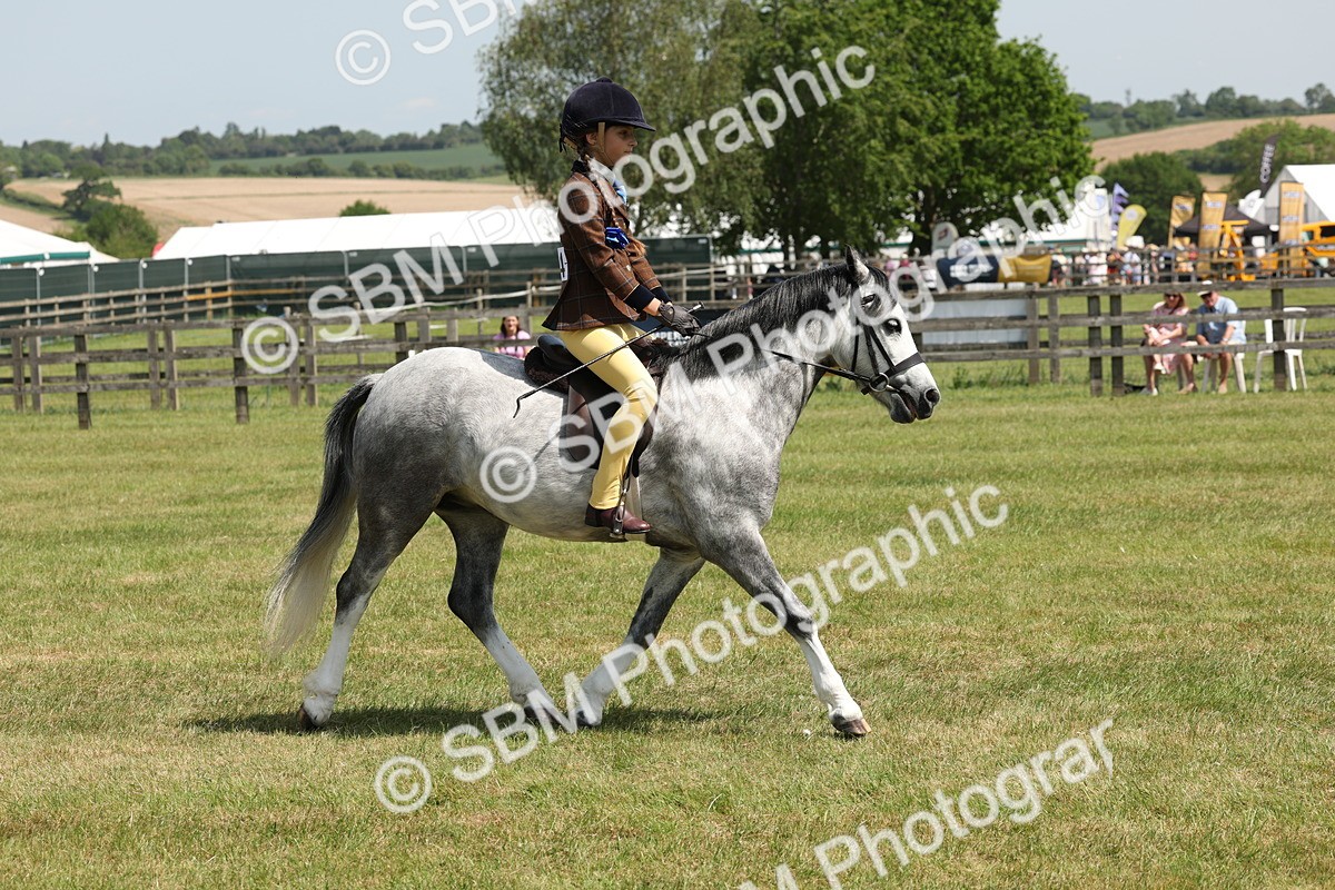 SBM_05352 - Class 24-25 - Mountain & Moorland In Hand Lead Rein and First Ridden