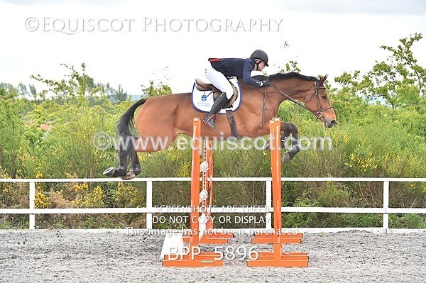 BPP_5896 - SUN CLASS 33 FOX/1.20M