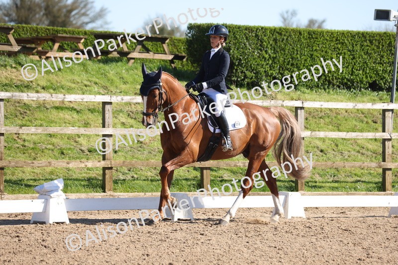 20260318-0650 - Class 6 - Novice 3