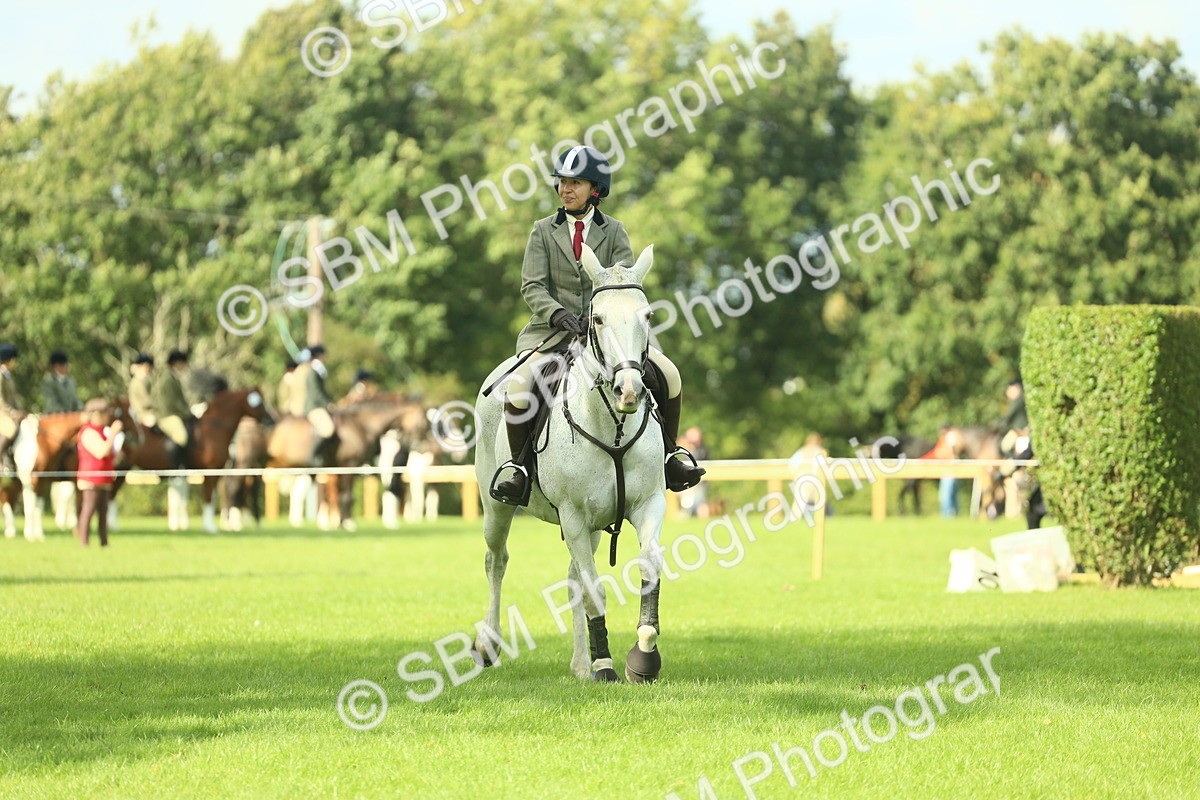 SBM_47923 - S32 - Novice & Newcomers Working Hunter