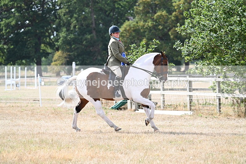 WJ7_7493 - Class 14 Ridden Coloured