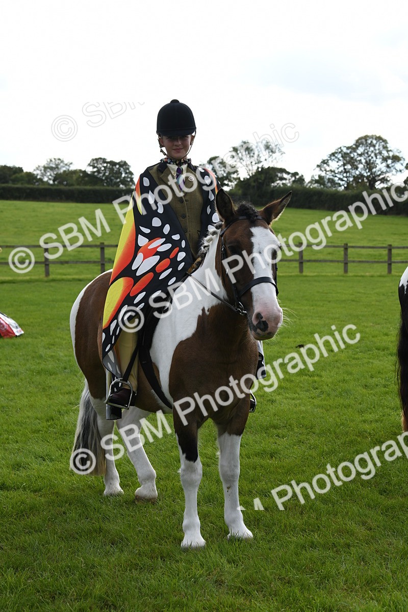 SBM_47233 - S12 - Family Horse & Pony