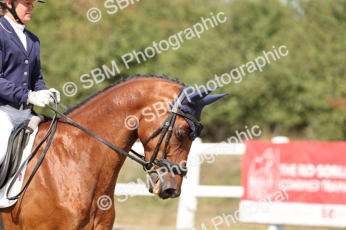 SBM_018660 - Class 16 - Novice 5 - 12.08-13.11