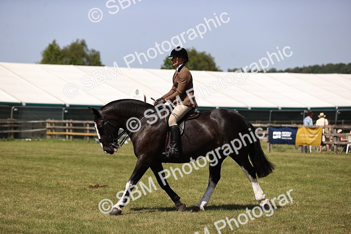 SBM_17886 - Class 81-83 - TSR Ridden Amateur of the Year - Horses
